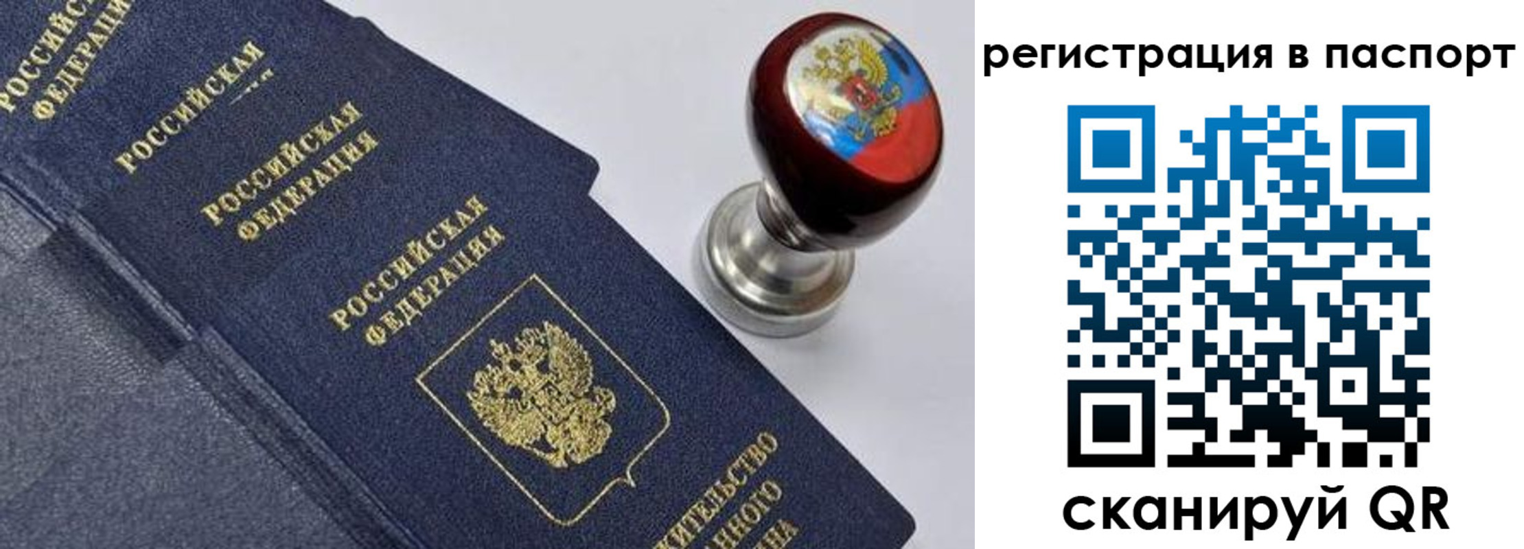 прописка поиск в Чернушке